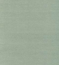 Sisal Wallpaper by Nobilis Litchen Green Sisal Wallpaper by Nobilis Litchen Green