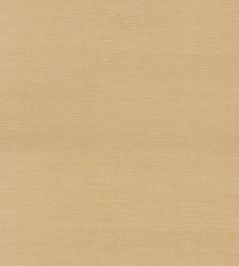 Sisal Wallpaper by Nobilis Tan Sisal Wallpaper by Nobilis Tan