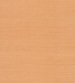 Sisal Wallpaper by Nobilis Wheat Sisal Wallpaper by Nobilis Wheat
