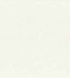 Sisteron Sheer Fabric by Camengo Blanc Sisteron Sheer Fabric by Camengo Blanc