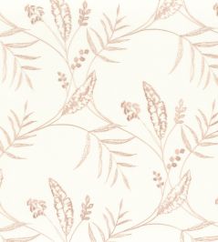 Sisteron Sheer Fabric by Camengo Nude Sisteron Sheer Fabric by Camengo Nude