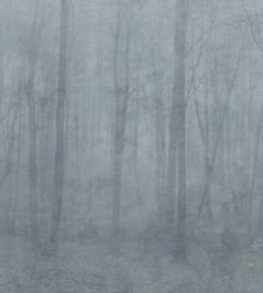 Skog Mural by Sandberg Misty Blue Skog Mural by Sandberg Misty Blue