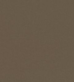 Smooth III Fabric by Kirkby Design Bark Smooth III Fabric by Kirkby Design Bark