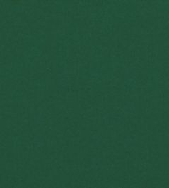 Smooth III Fabric by Kirkby Design Forest Smooth III Fabric by Kirkby Design Forest