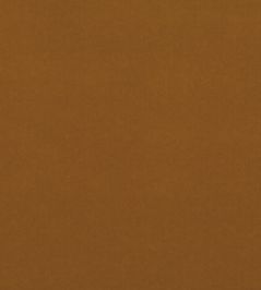 Smooth III Fabric by Kirkby Design Gingerbread Smooth III Fabric by Kirkby Design Gingerbread