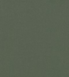 Smooth III Fabric by Kirkby Design Khaki Smooth III Fabric by Kirkby Design Khaki