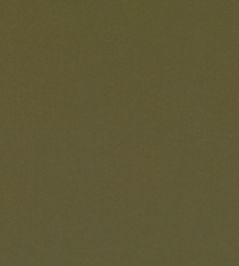 Smooth III Fabric by Kirkby Design Olive Smooth III Fabric by Kirkby Design Olive