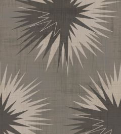 Soft Thistle Wallpaper by Cole & Son Dove Grey & Charcoal Soft Thistle Wallpaper by Cole & Son Dove Grey & Charcoal