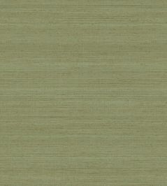 Soie Tropical Wallpaper by Jannelli&Volpi Olive Soie Tropical Wallpaper by Jannelli&Volpi Olive