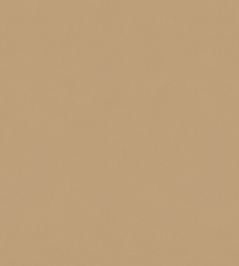 Solaire Fabric by Warwick Camel Solaire Fabric by Warwick Camel