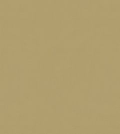 Solaire Fabric by Warwick Citrus Solaire Fabric by Warwick Citrus