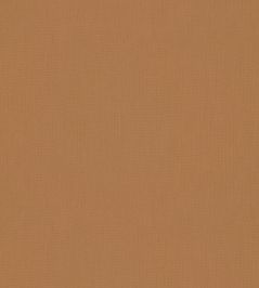 Solaire Fabric by Warwick Desert Solaire Fabric by Warwick Desert