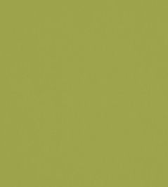 Solaire Fabric by Warwick Lime Solaire Fabric by Warwick Lime