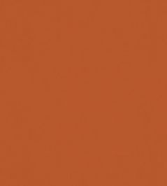Solaire Fabric by Warwick Mandarin Solaire Fabric by Warwick Mandarin
