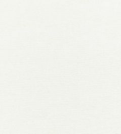 Solenzara Fabric by Zinc Ivory Solenzara Fabric by Zinc Ivory