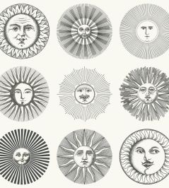 Soli Wallpaper by Cole & Son Black & White Soli Wallpaper by Cole & Son Black & White