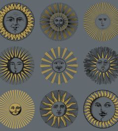 Soli Wallpaper by Cole & Son Midnight & Soft Gold Soli Wallpaper by Cole & Son Midnight & Soft Gold