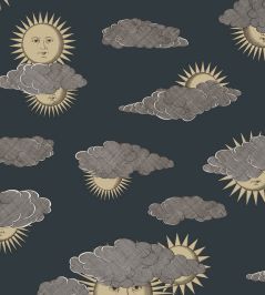 Soli e Nuvole Wallpaper by Cole & Son Gold & Silver on Charcoal Soli e Nuvole Wallpaper by Cole & Son Gold & Silver on Charcoal