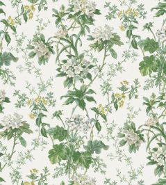 Somerhill Fabric by Nina Campbell Green/White/Chartreuse Somerhill Fabric by Nina Campbell Green/White/Chartreuse