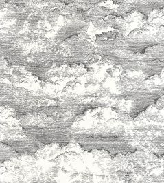 Songe Wallpaper by Casadeco Noir Gravure Songe Wallpaper by Casadeco Noir Gravure