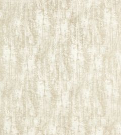 Sontuoso Fabric by Clarke & Clarke Ivory Sontuoso Fabric by Clarke & Clarke Ivory