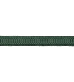 Sophie Border Trimming by Samuel & Sons Viridian Green Sophie Border Trimming by Samuel & Sons Viridian Green
