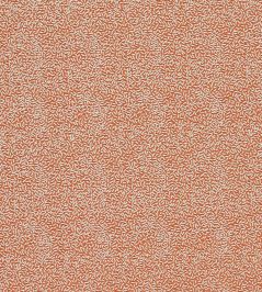 Sow Fabric by Harlequin Baked Terracotta / Soft Focus Sow Fabric by Harlequin Baked Terracotta / Soft Focus