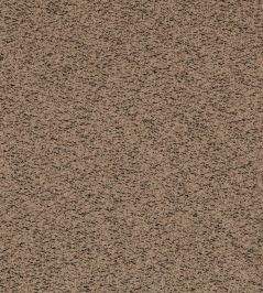 Spiral Fabric by Kirkby Design Barren Spiral Fabric by Kirkby Design Barren