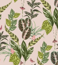 Spirit Wallpaper by Ohpopsi Powder Swirl Spirit Wallpaper by Ohpopsi Powder Swirl