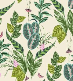 Spirit Wallpaper by Ohpopsi Zest Spirit Wallpaper by Ohpopsi Zest