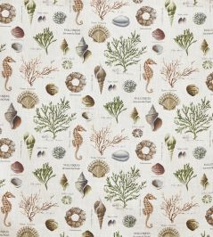 St Helier Fabric by Prestigious Textiles Seaweed St Helier Fabric by Prestigious Textiles Seaweed