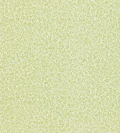 Standen Wallpaper by Morris & Co Fennel Standen Wallpaper by Morris & Co Fennel