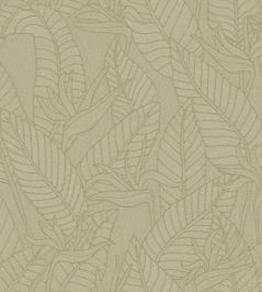 Strelitzia Wallpaper by Arte Olive Strelitzia Wallpaper by Arte Olive