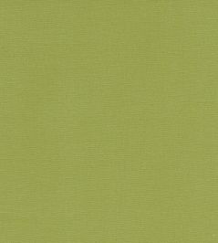Alora Fabric by Studio G Apple Alora Fabric by Studio G Apple
