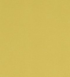 Alora Fabric by Studio G Celery Alora Fabric by Studio G Celery