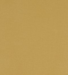 Alora Fabric by Studio G Chartreuse Alora Fabric by Studio G Chartreuse