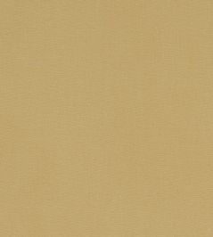 Alora Fabric by Studio G Malt Alora Fabric by Studio G Malt