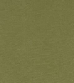 Alora Fabric by Studio G Moss Alora Fabric by Studio G Moss