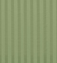 Suffolk Stripe Fabric by Zoffany Pale Olive Suffolk Stripe Fabric by Zoffany Pale Olive