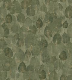 Suman Wallpaper by Coordonne Pistachio Suman Wallpaper by Coordonne Pistachio