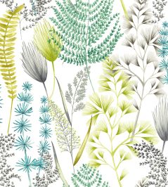Summer Ferns Wallpaper by Ohpopsi Acid Summer Ferns Wallpaper by Ohpopsi Acid