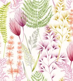 Summer Ferns Wallpaper by Ohpopsi Coral Pink Summer Ferns Wallpaper by Ohpopsi Coral Pink