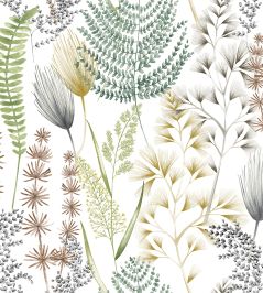 Summer Ferns Wallpaper by Ohpopsi Earth Organic Summer Ferns Wallpaper by Ohpopsi Earth Organic