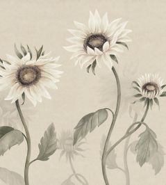 Sunflowers Mural by Sandberg White Sunflowers Mural by Sandberg White
