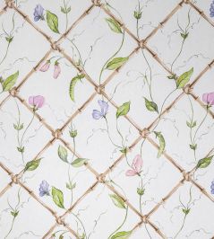 Sweet Peas on Bamboo Trellis Wallpaper by Alice Crawley Pink/Purple Sweet Peas on Bamboo Trellis Wallpaper by Alice Crawley Pink/Purple