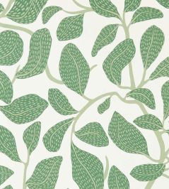 Sweet Bay Wallpaper by Scion Forest Sweet Bay Wallpaper by Scion Forest