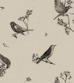 Sweet Birds Wallpaper by Coordonne Black Sweet Birds Wallpaper by Coordonne Black