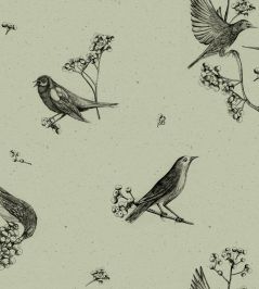 Sweet Birds Wallpaper by Coordonne Matcha Sweet Birds Wallpaper by Coordonne Matcha