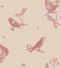 Sweet Birds Wallpaper by Coordonne Rose Sweet Birds Wallpaper by Coordonne Rose