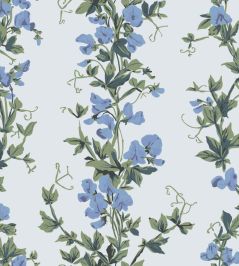 Sweet Pea Wallpaper by Farrow & Ball Blue Sweet Pea Wallpaper by Farrow & Ball Blue